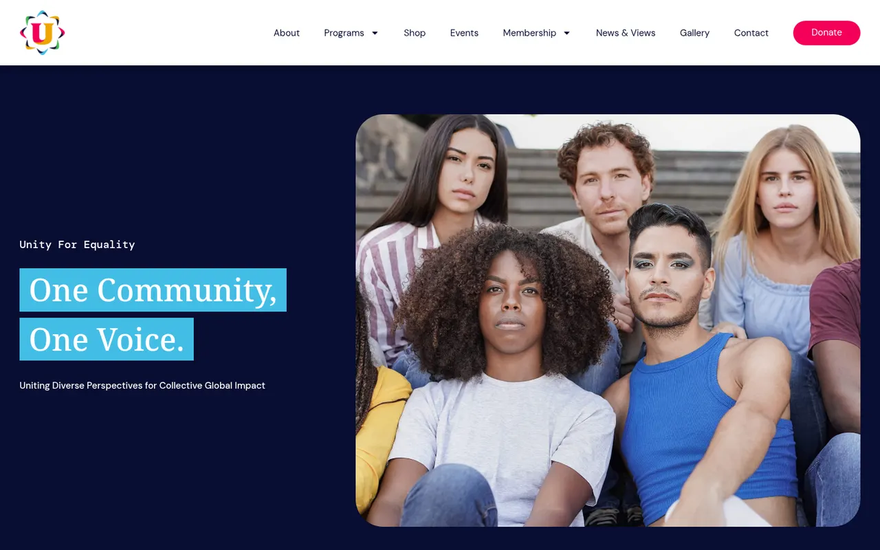 Unity For Equality actual website screenshot